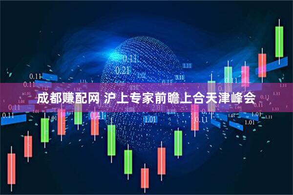 成都赚配网 沪上专家前瞻上合天津峰会
