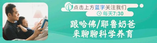 国元配资 《胡桃夹子》第四集之《平安夜的危机》