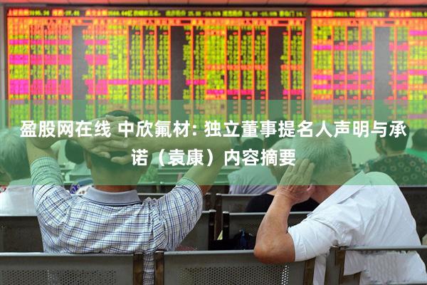 盈股网在线 中欣氟材: 独立董事提名人声明与承诺（袁康）内容摘要